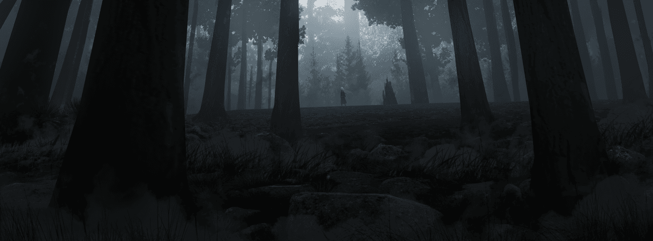 Intro banner